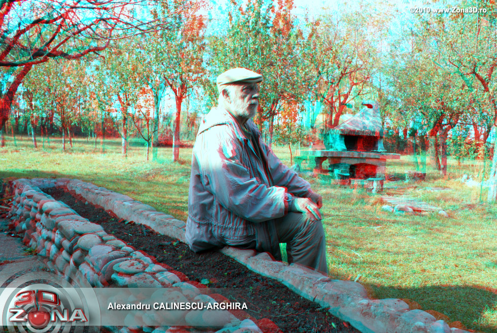 zona3d.ro