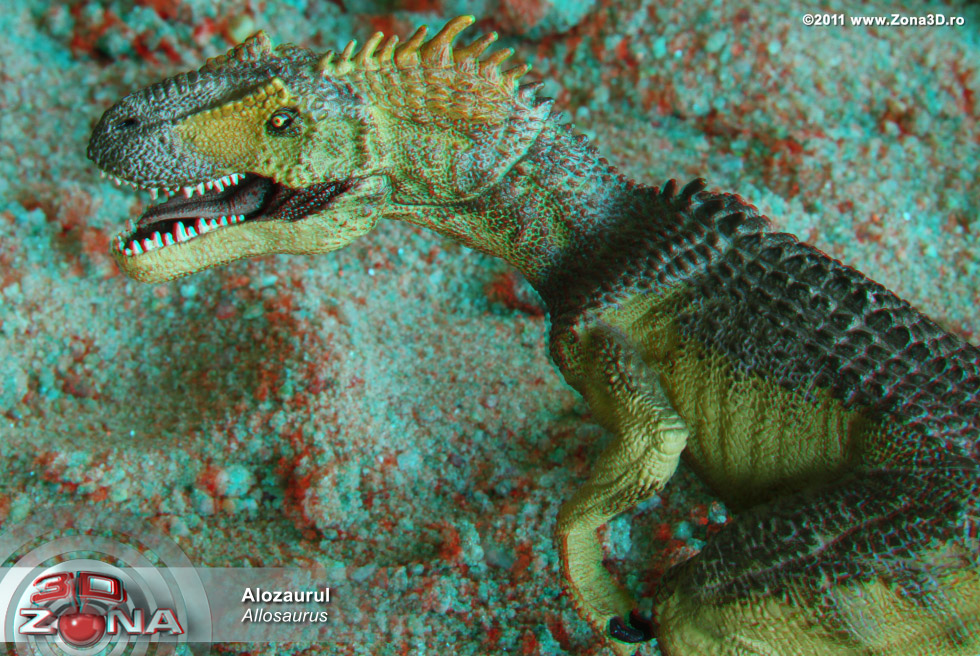 zona3d.ro