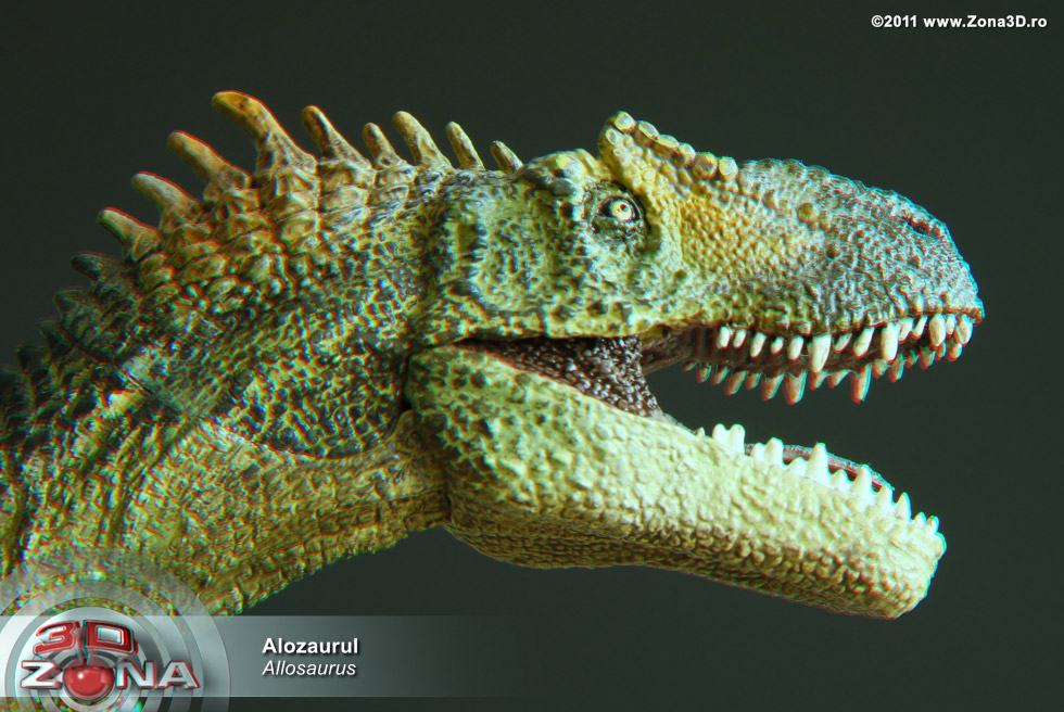 zona3d.ro