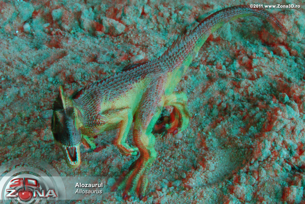 zona3d.ro