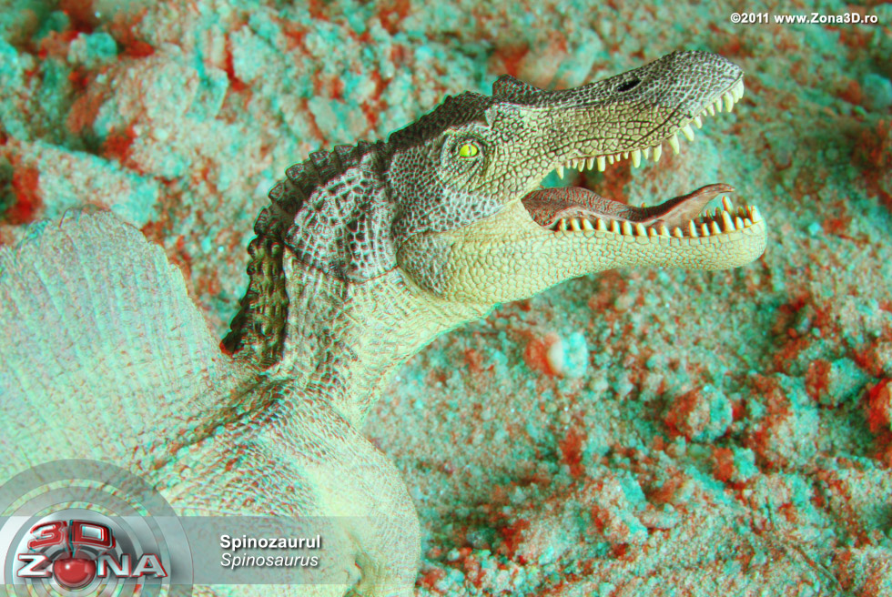 zona3d.ro