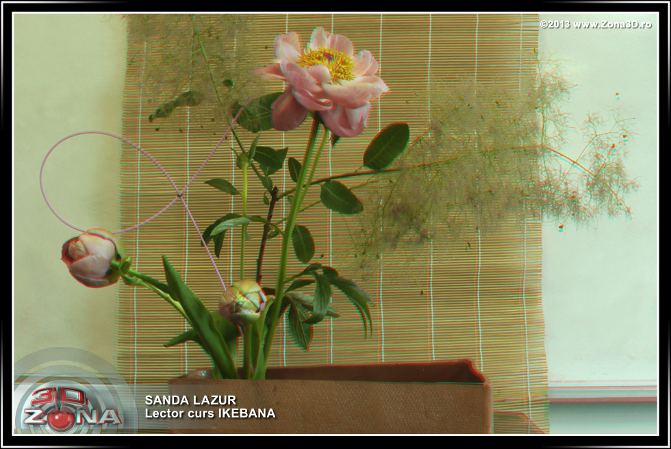 Zona3D.ro