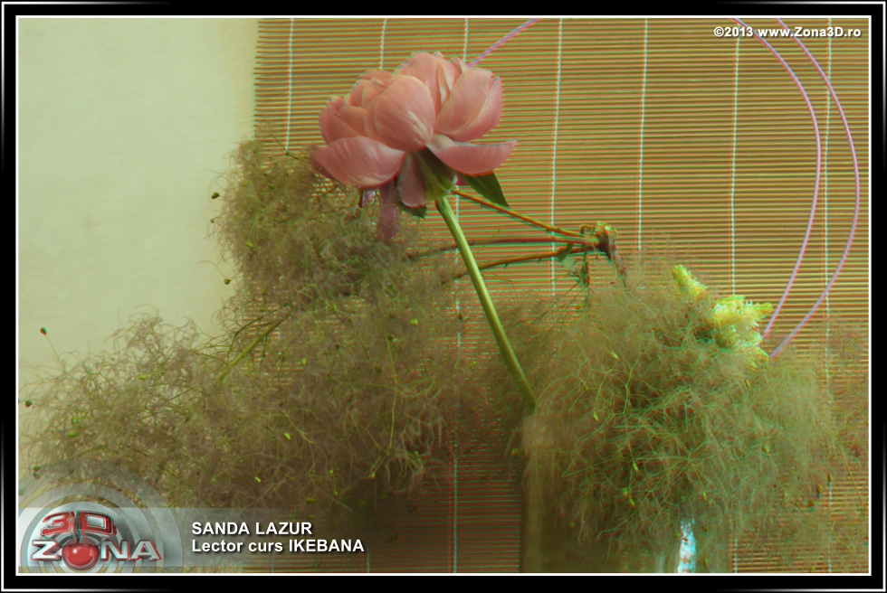 Zona3D.ro