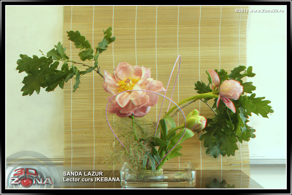 Zona3D.ro