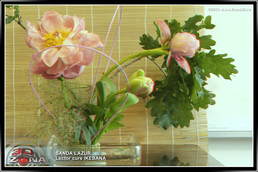 Zona3D.ro