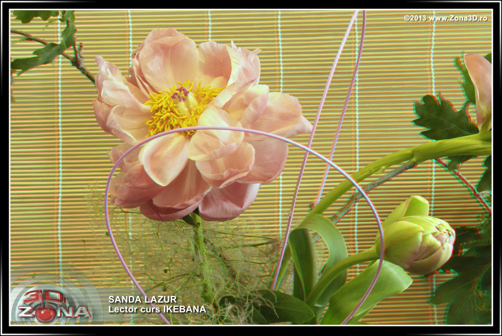 Zona3D.ro