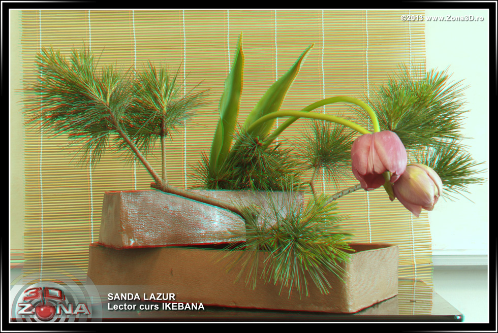Zona3D.ro