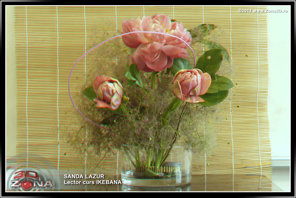Zona3D.ro