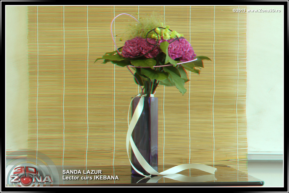 Zona3D.ro