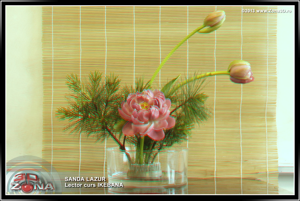 Zona3D.ro