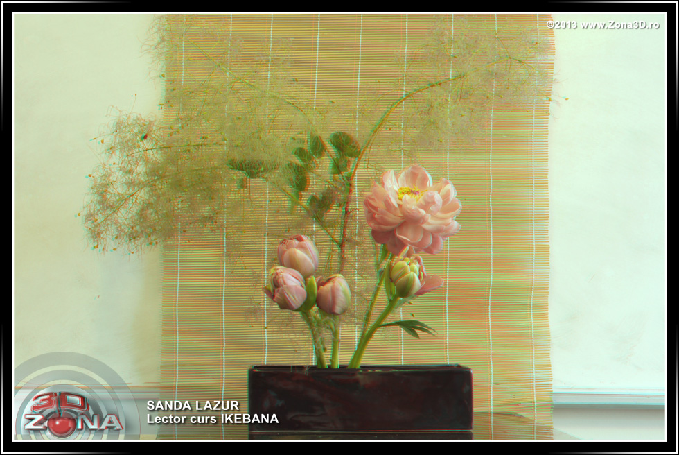 Zona3D.ro