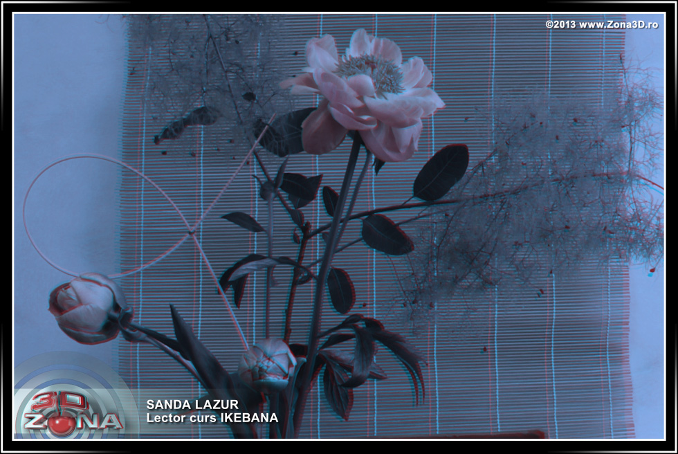Zona3D.ro