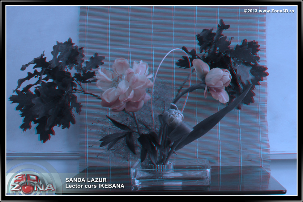 Zona3D.ro