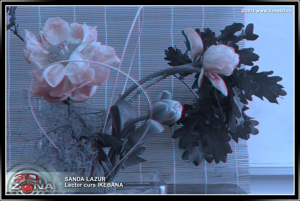 Zona3D.ro
