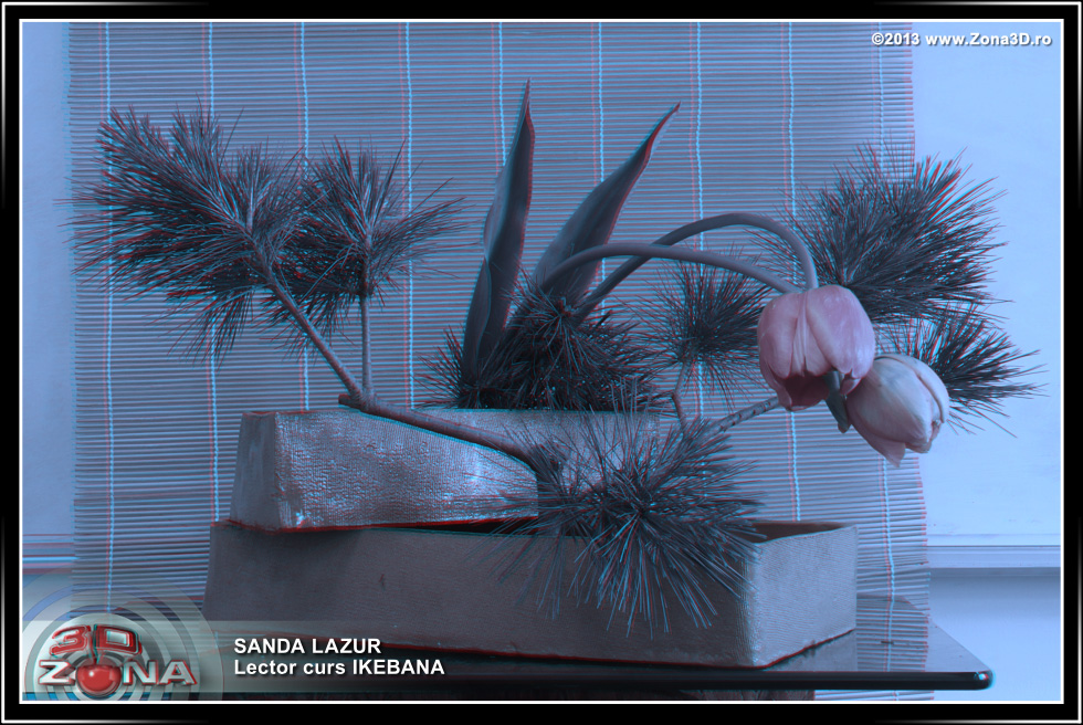 Zona3D.ro