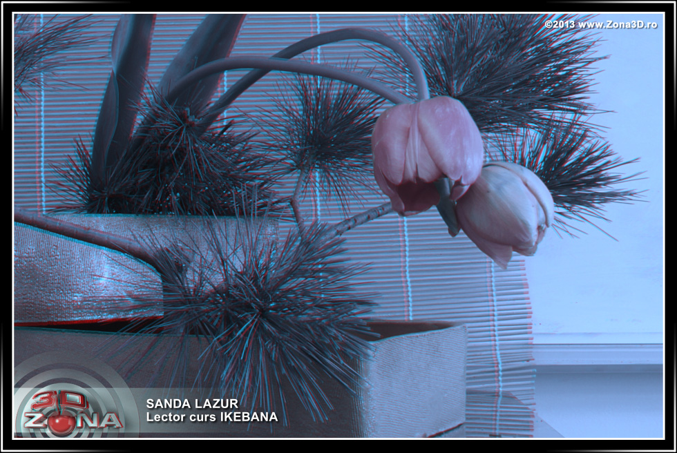 Zona3D.ro