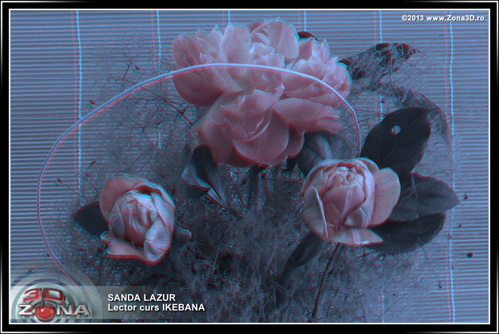 Zona3D.ro