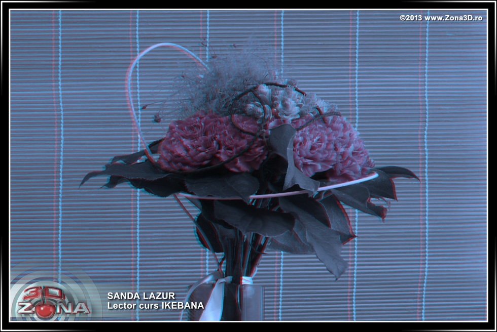 Zona3D.ro