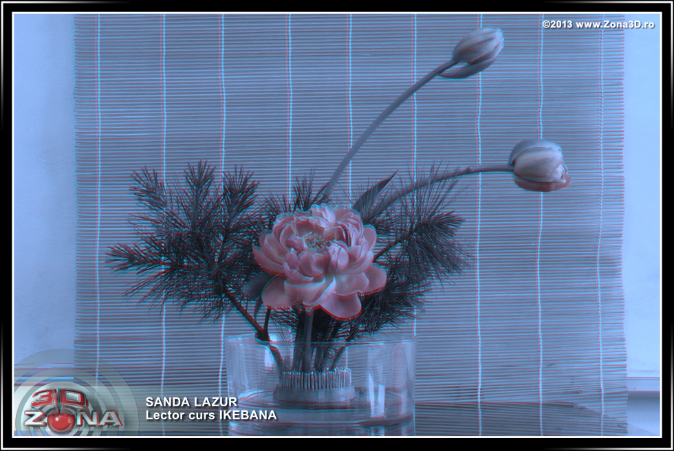Zona3D.ro