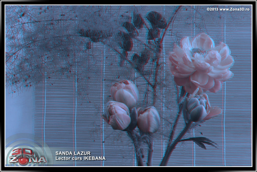 Zona3D.ro